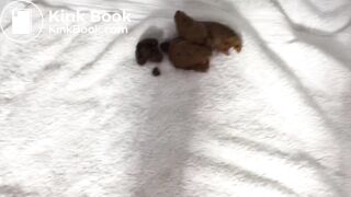 Morning shit bent over