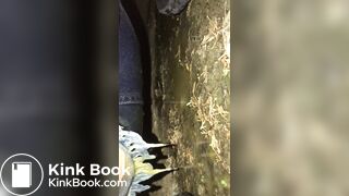 Shitting in park - video 2