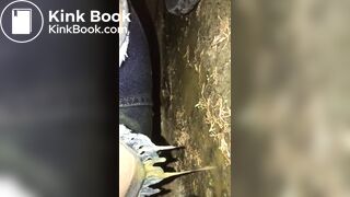 Shitting in park - video 2