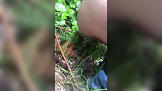 Dropping a big pile in her neighbour's garden.