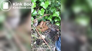 Dropping a big pile in her neighbour's garden.