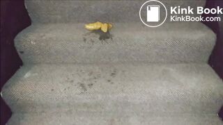 Shitting in Stairwell Pt 2