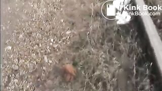 Shit and piss near the railroad