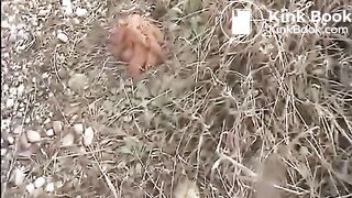 Shit and piss near the railroad