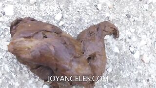 girls pooping - video 4