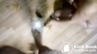 hardcore scat fucking