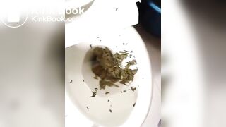 Korean girl scat play