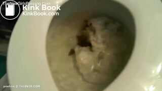 Porcelain Toilet Poop 3