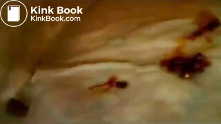 good scat girl plays on webcam