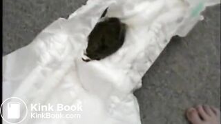 Housework While Diapered