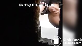 Chinese Toilet / Chinese Voyeur5