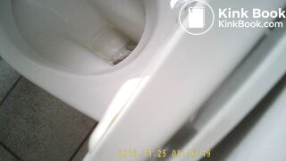 girl pops nice turd on toilet