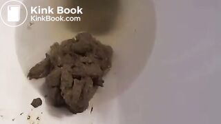 toilet pooping in reverse
