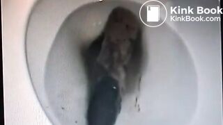 Poop clogs toilet