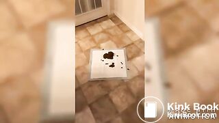 Different day same shit lol