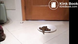 Cute Italian girl is pooping big hard logs in a white plate on the floor