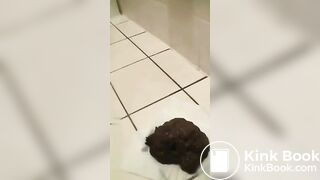 Huge poop on the bathroom floor
