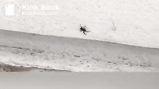 Black girl poops in public toilet - video 3