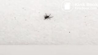 Black girl poops in public toilet - video 3