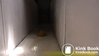 Chinese Toilet / Chinese Voyeur4