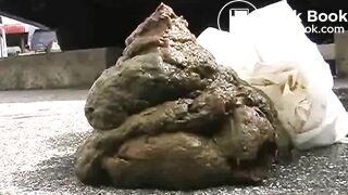 JNT-001 (Part 2) [JAV Public Scat/Urination Voyeur]