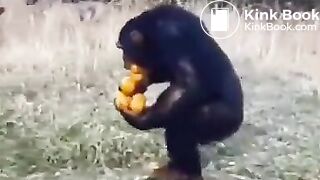 Pee and fart - video 2