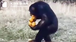 Pee and fart - video 2