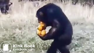 Pee and fart - video 2