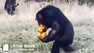 Pee and fart - video 2