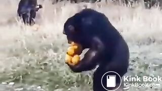 Pee and fart - video 2