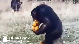 Pee and fart - video 2