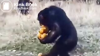 Pee and fart - video 2