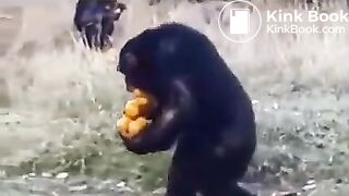 Pee and fart - video 2