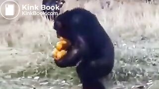 Pee and fart - video 2