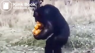 Pee and fart - video 2