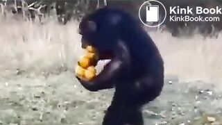 Pee and fart - video 2