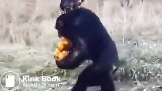 Pee and fart - video 2