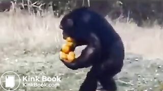 Pee and fart - video 2