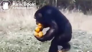 Pee and fart - video 2