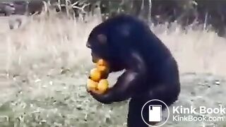 Pee and fart - video 2