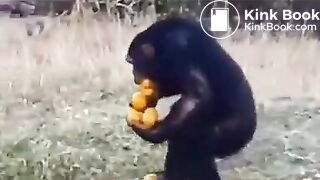 Pee and fart - video 2