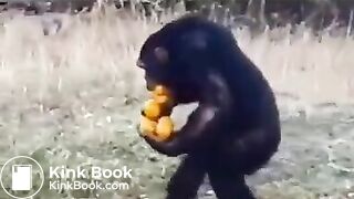 Pee and fart - video 2