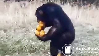 Pee and fart - video 2