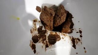 Blonde girl shit and chokes toilet.