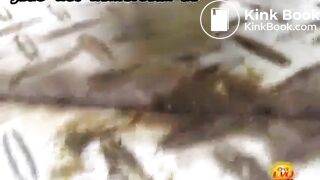 panty poop 1 - video 3