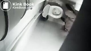 Overhead toilet voyeur