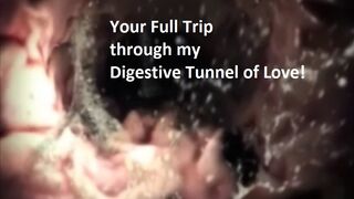 Your Full Trip Through My Digestive Gut of Love
