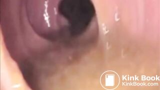 Your Full Trip Through My Digestive Gut of Love