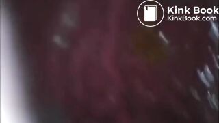 Your Full Trip Through My Digestive Gut of Love