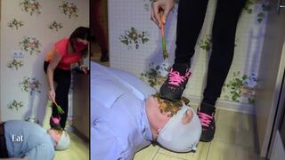 Scat eating - video 16